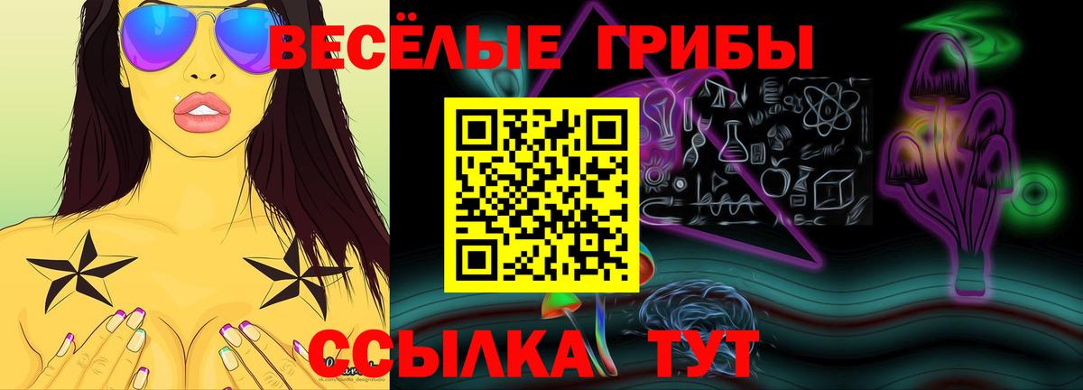 Анжеро-Судженск  Галлюциногенные грибы Cubensis  Псилоцибиновые грибы Psilocybine cubensis  Вход с VPN 